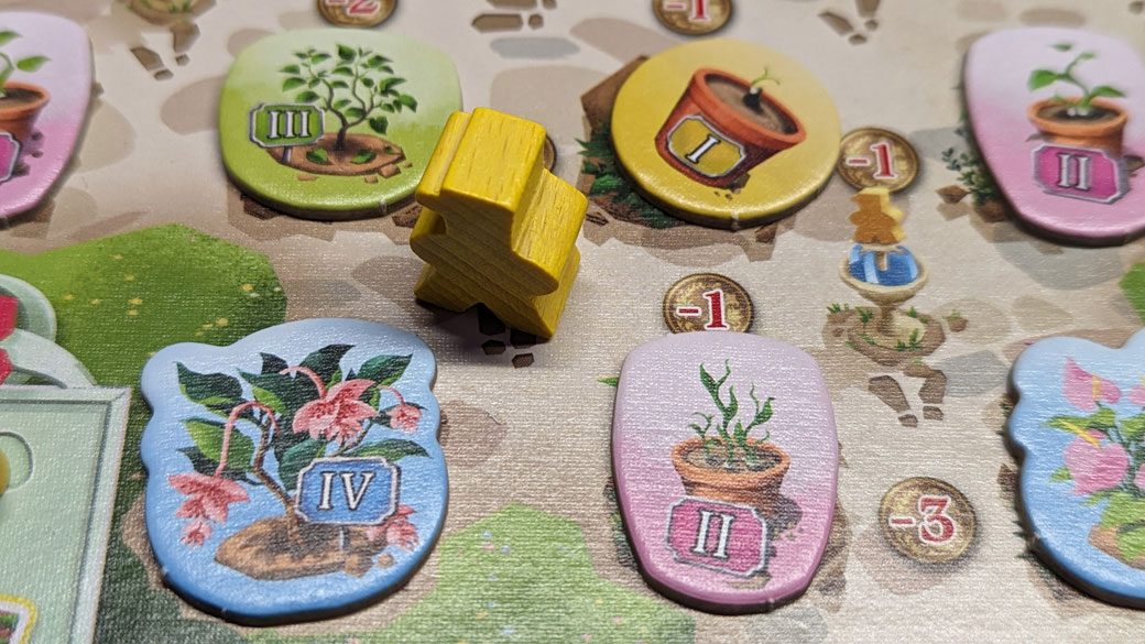 Botanicus - Rezension - Brettspielpoesie